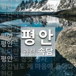 평안에 관한 속담: 8개