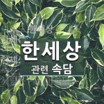 한세상에 관한 속담: 3개