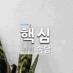 핵심에 관한 속담: 2개