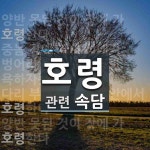 호령에 관한 속담: 5개