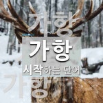 가항 시작 단어