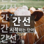 간선으로 시작하는 단어는? 51개