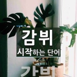 감뷔로 시작하는 단어는? 1개