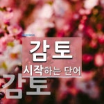 감토 시작 단어