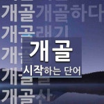 개골로 시작하는 단어는? 9개