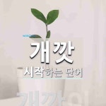 개깟 시작 단어