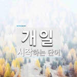 개일로 시작하는 단어는? 3개