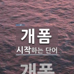 개폼으로 시작하는 단어는? 1개