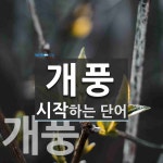 개풍으로 시작하는 단어는? 2개