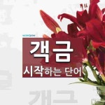 객금으로 시작하는 단어는? 1개
