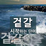 겉갈 시작 단어