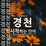 경천 시작 단어