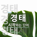 경태 시작 단어