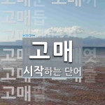 고매로 시작하는 단어는? 13개