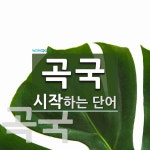 곡국 시작 단어