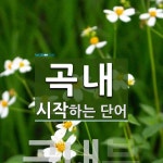 곡내 시작 단어
