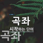 곡좌로 시작하는 단어는? 2개