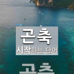 곤축으로 시작하는 단어는? 1개