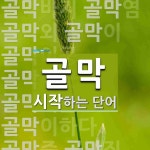 골막으로 시작하는 단어는? 30개