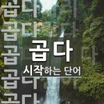 곱다로 시작하는 단어는? 10개