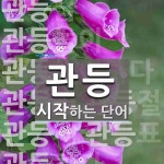 관등으로 시작하는 단어는? 14개