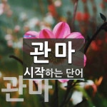 관마로 시작하는 단어는? 3개