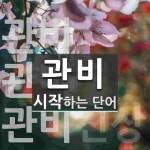 관비로 시작하는 단어는? 5개
