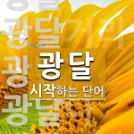 광달로 시작하는 단어는? 5개