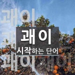 괘이로 시작하는 단어는? 3개