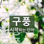 구풍으로 시작하는 단어는? 4개