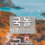 국놀로 시작하는 단어는? 1개