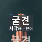 굴견 시작 단어