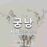 궁낭으로 시작하는 단어는? 1개