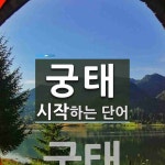 궁태로 시작하는 단어는? 1개