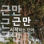 근만으로 시작하는 단어는? 3개