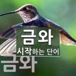 금와로 시작하는 단어는? 4개