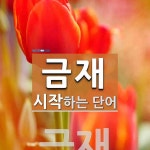 금재로 시작하는 단어는? 1개