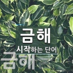 금해로 시작하는 단어는? 2개