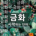 금화로 시작하는 단어는? 29개
