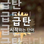 급탄 시작 단어