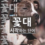 꽃대 시작 단어