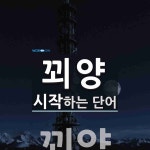 꾀양 시작 단어