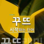 꾸뜨 시작 단어