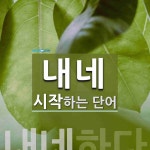 내소나네006 | 내네로 시작하는 단어는? 1개