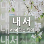 내서로 시작하는 단어는? 6개