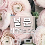 널문으로 시작하는 단어는? 4개