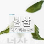 넘살로 시작하는 단어는? 1개