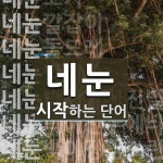 네눈으로 시작하는 단어는? 11개