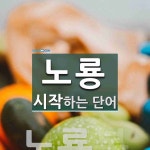 노룡으로 시작하는 단어는? 1개