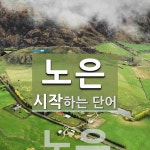 노은으로 시작하는 단어는? 1개